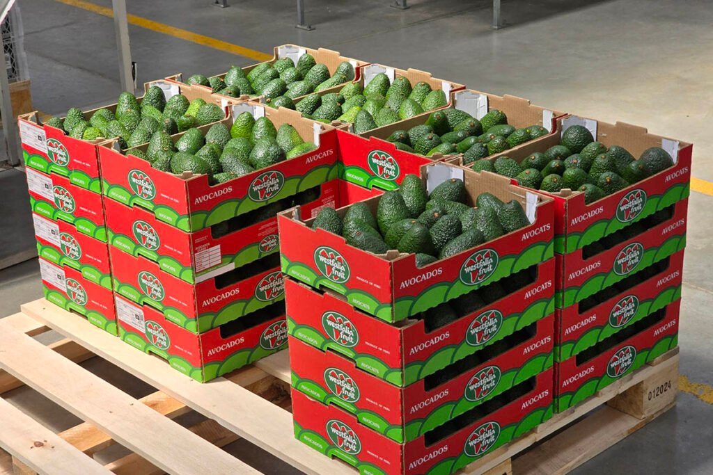 export produce